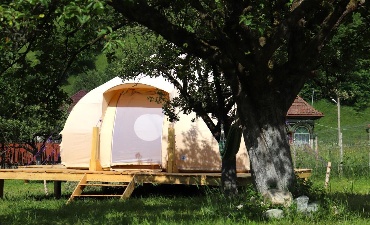 Flore'S Garden Glamping Бран Екстер'єр фото
