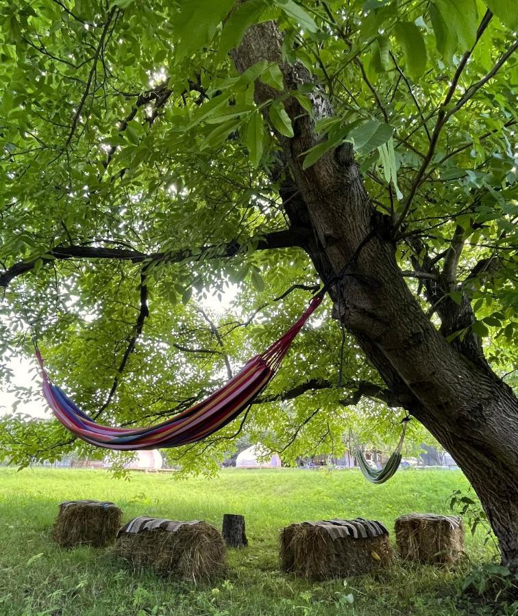 Flore'S Garden Glamping Бран Екстер'єр фото