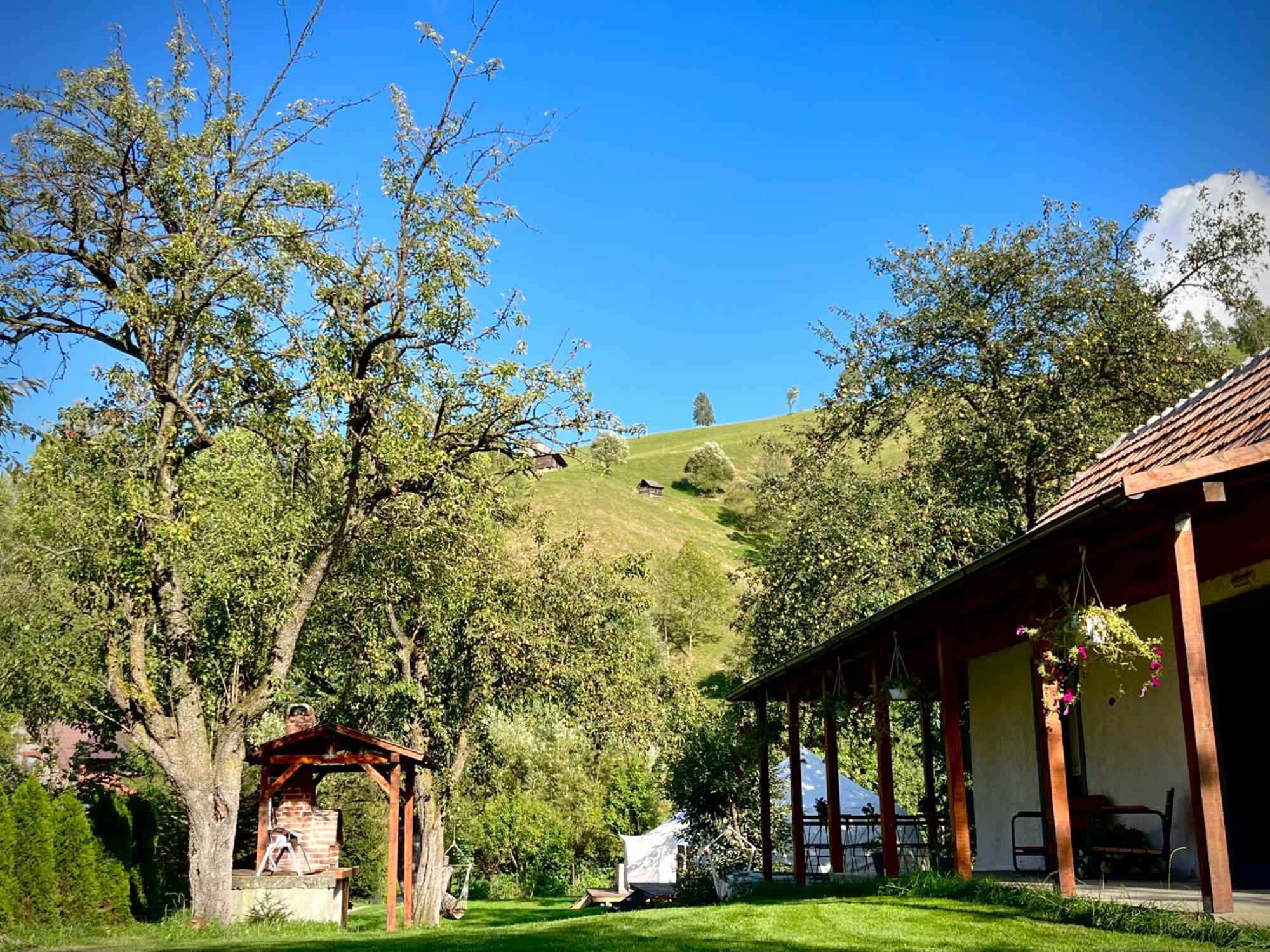 Flore'S Garden Glamping Бран Екстер'єр фото