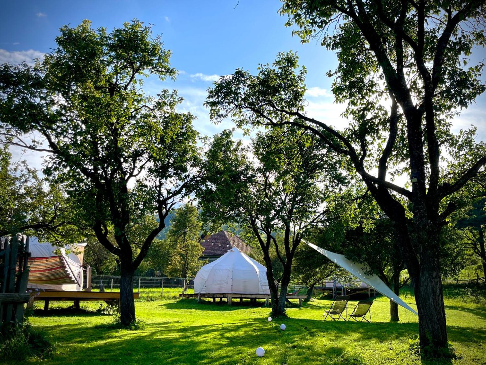 Flore'S Garden Glamping Бран Екстер'єр фото