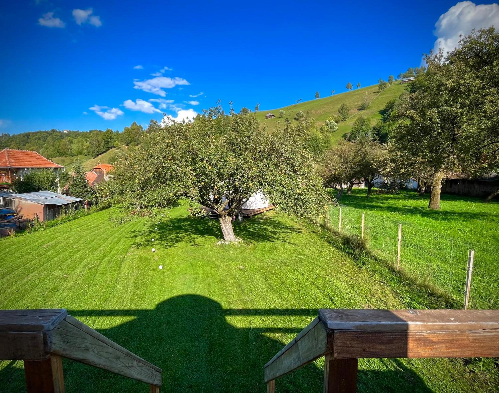 Flore'S Garden Glamping Бран Екстер'єр фото